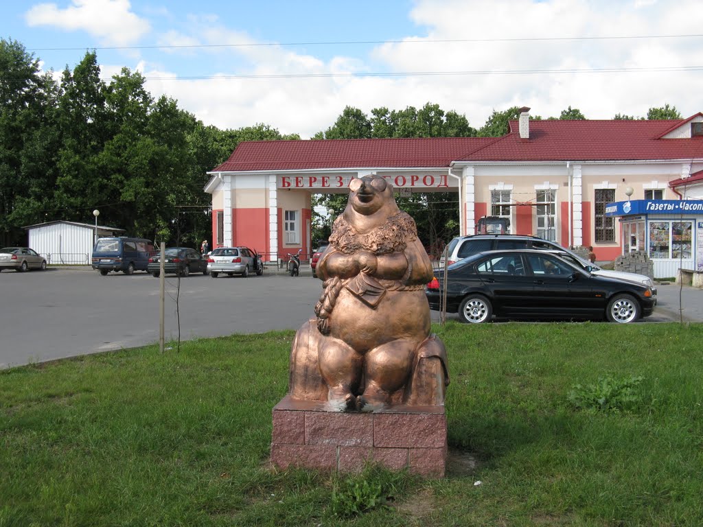 Около станции "Берёза-город" (Near railway station)