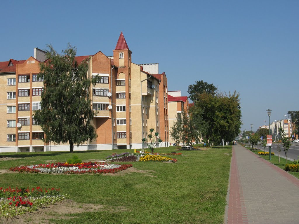 Дом 108а по ул. Ленина (108a, Lenin str.)