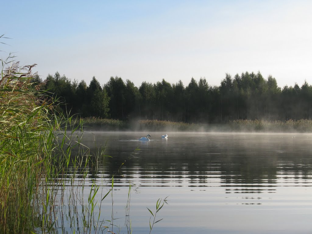 Утро на озере (Lake in the morning)
