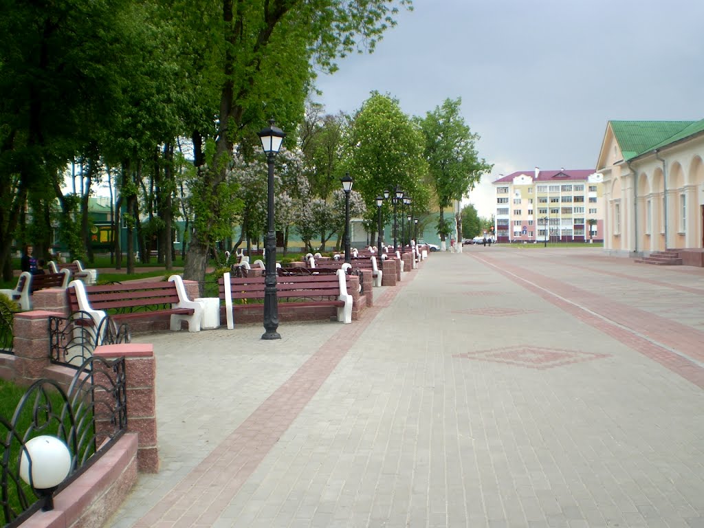 Мноства лавак