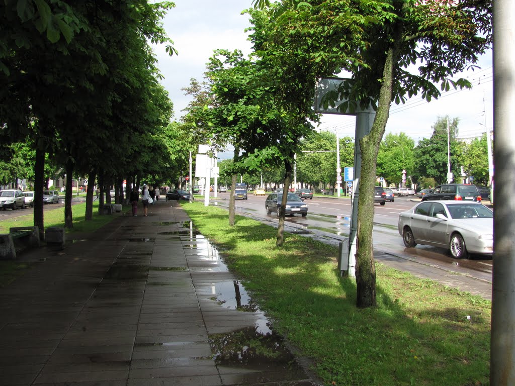 Пасля дажджу