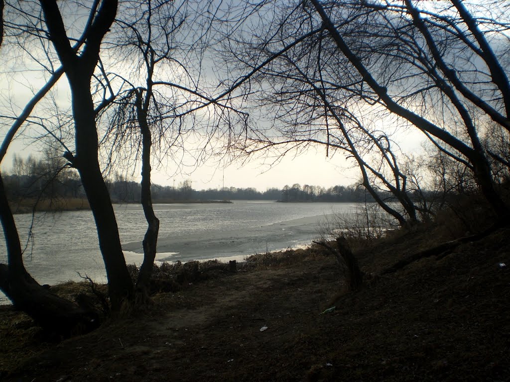 Рака Мухавец