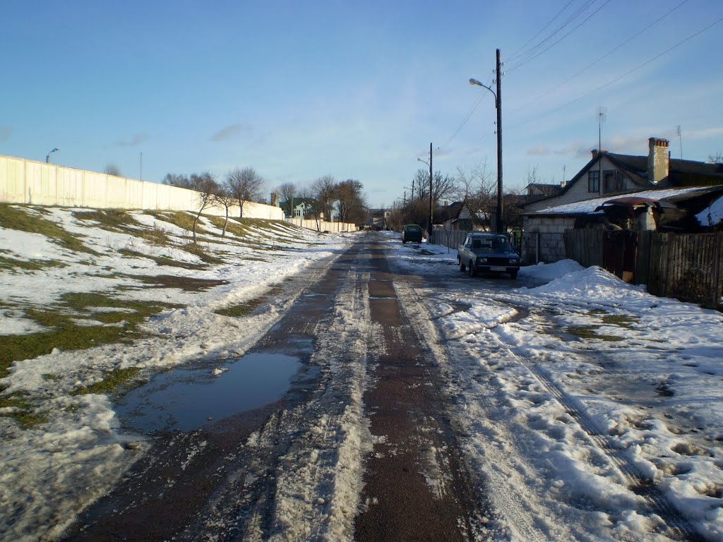Вул. Ціхая