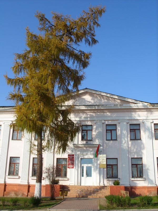 Городской совет