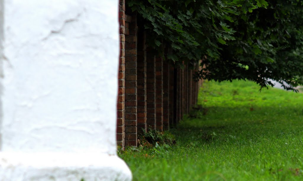Wall