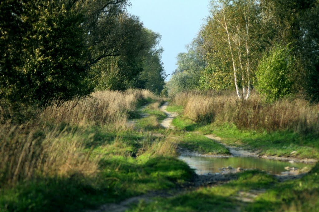 Na Lumnu