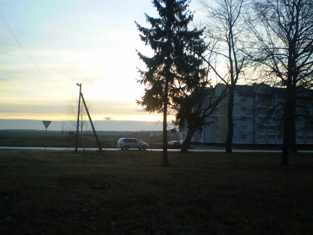 In the morning...