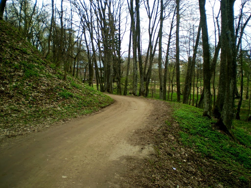 Дарога ў парку