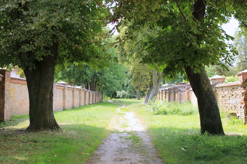 Рэшткі алеі