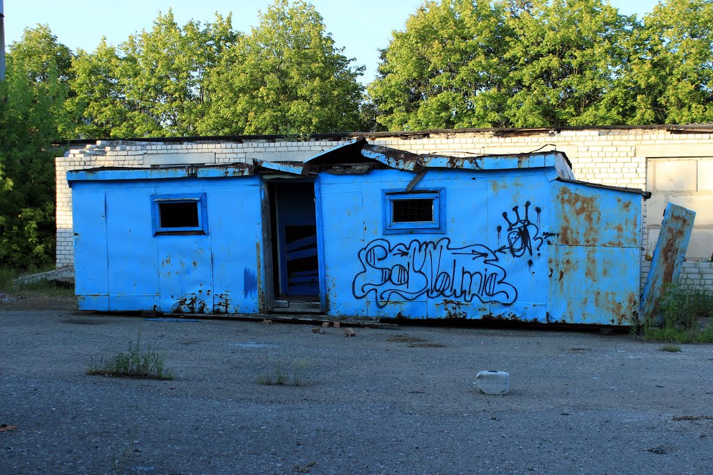 Вагончык