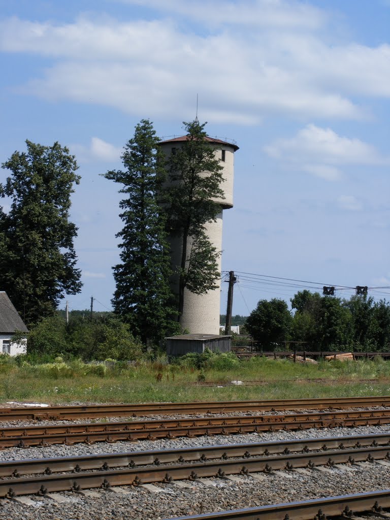Ганцавічы