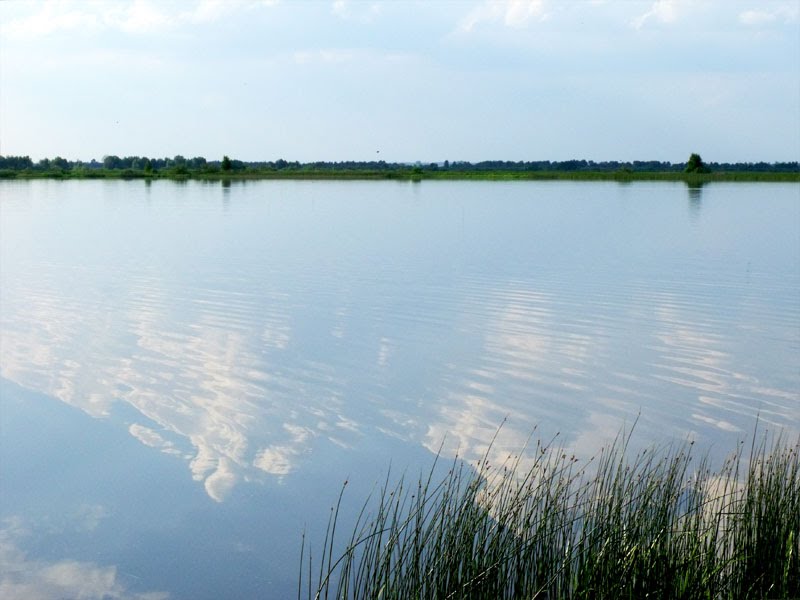 Горново