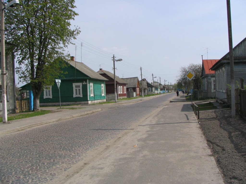 Dawidgródek
