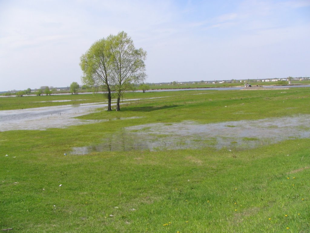 Horyń river near Dawidgródek