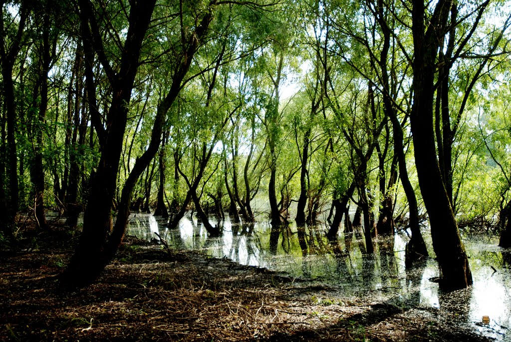 На реке Горынь