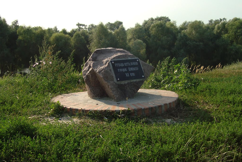 The lost castle / David Gorodok / Belarus