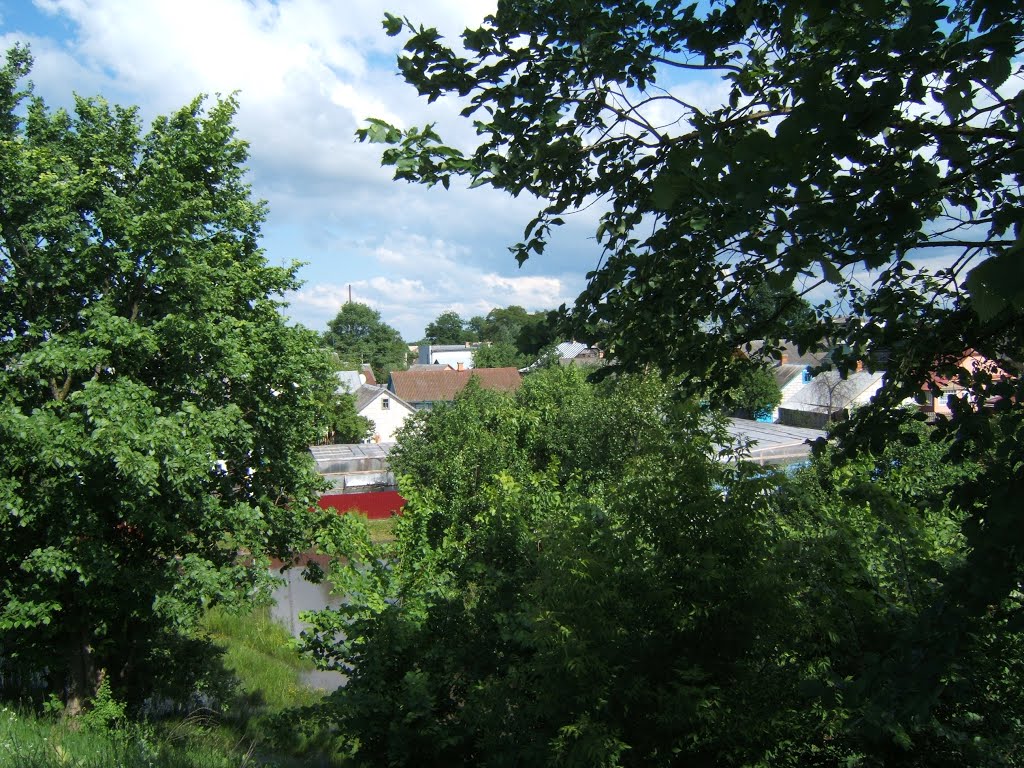 Fortress Hill