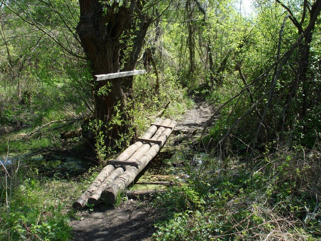Пограничная тропа в Moscice Dln. 26.04.2008