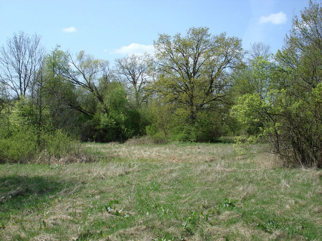 Kol. Neudorf (1928-Moscice Dln.) 26.04.2008