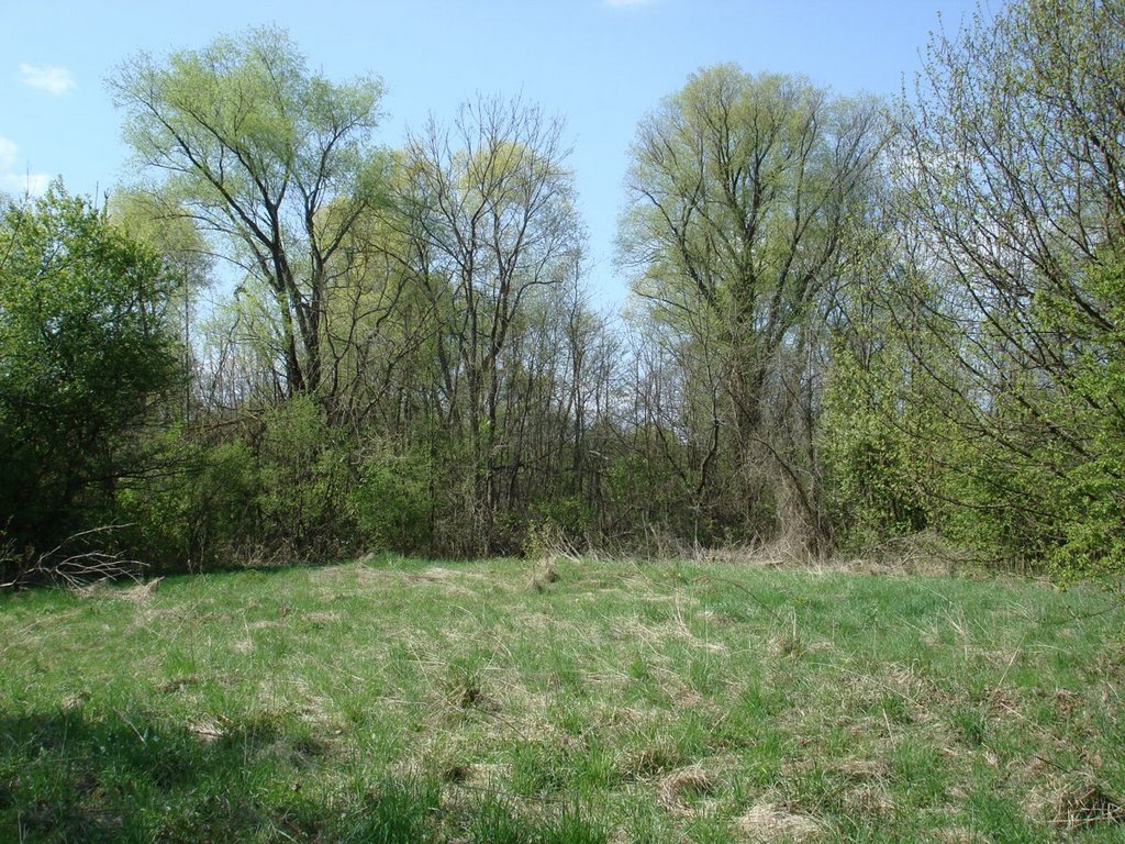 (1928-Moscice Dln.) 26.04.2008