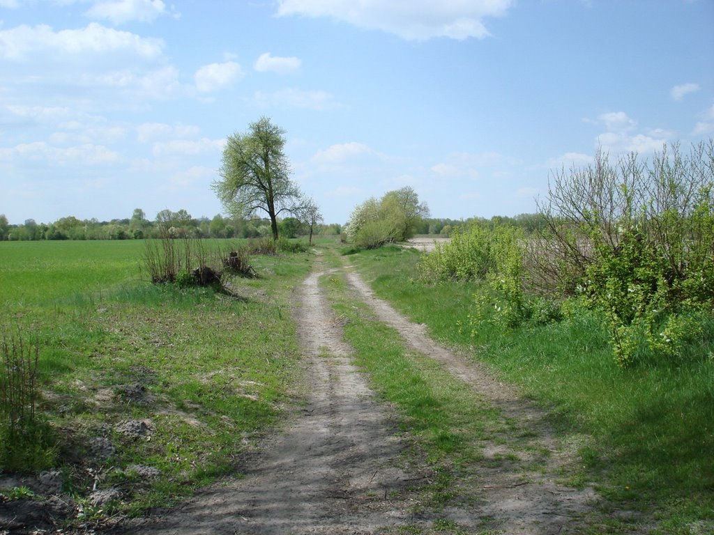 Старая дорога из Домачева в Нейдорф 28.04.2008