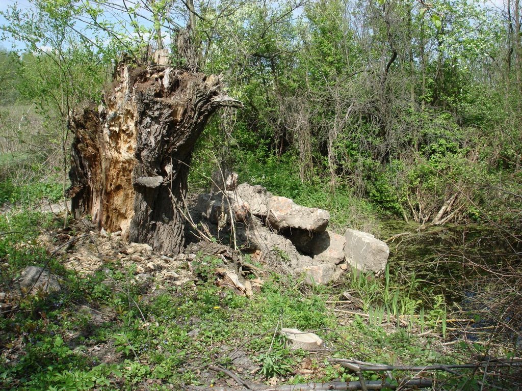 Остатки фундамента Нейдорфской кирхи (свезены в ров в марте 2008) 28.04.2008
