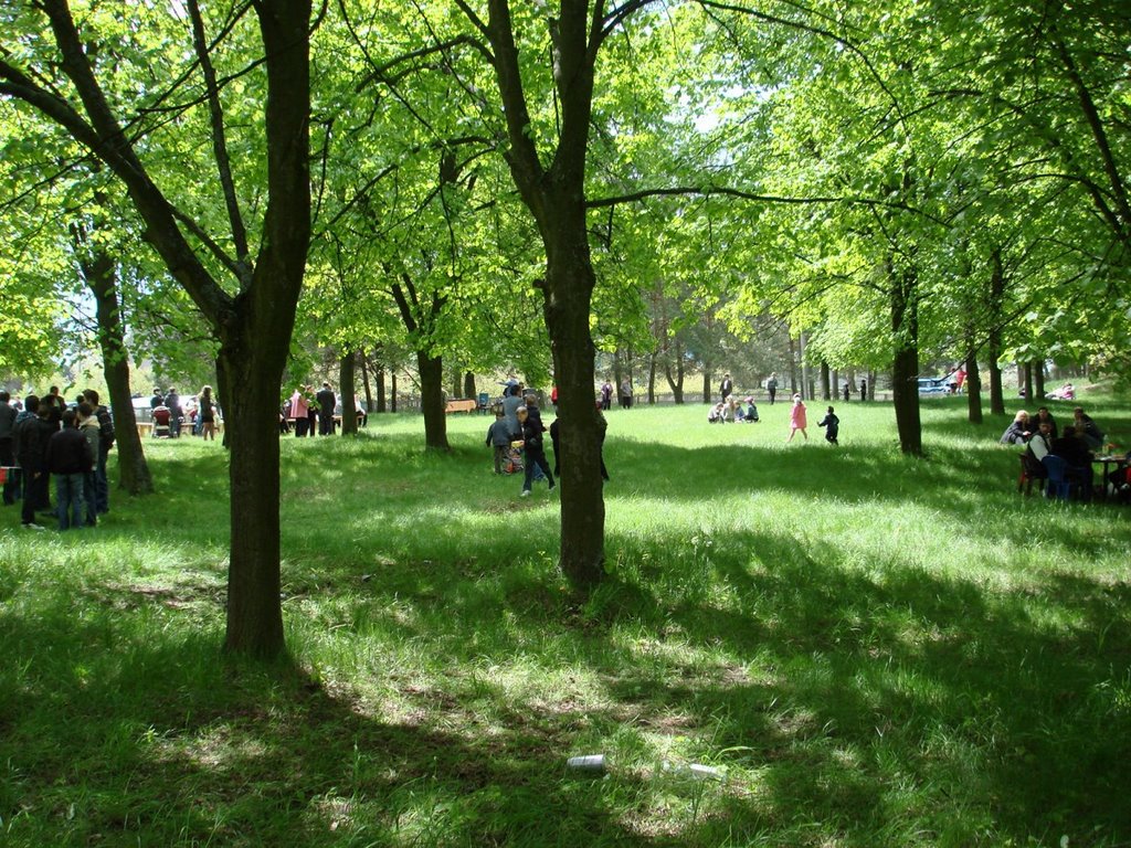 Сквер  9 мая 2008г.