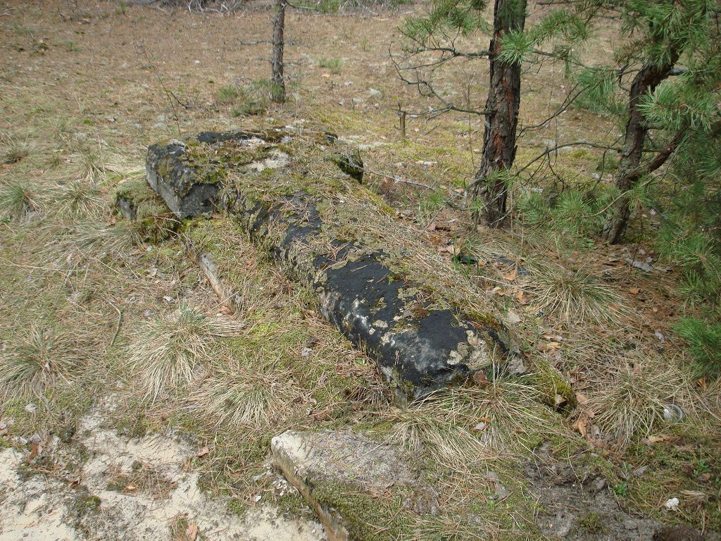 Еврейское кладбище в Домачево (5.04.2008)