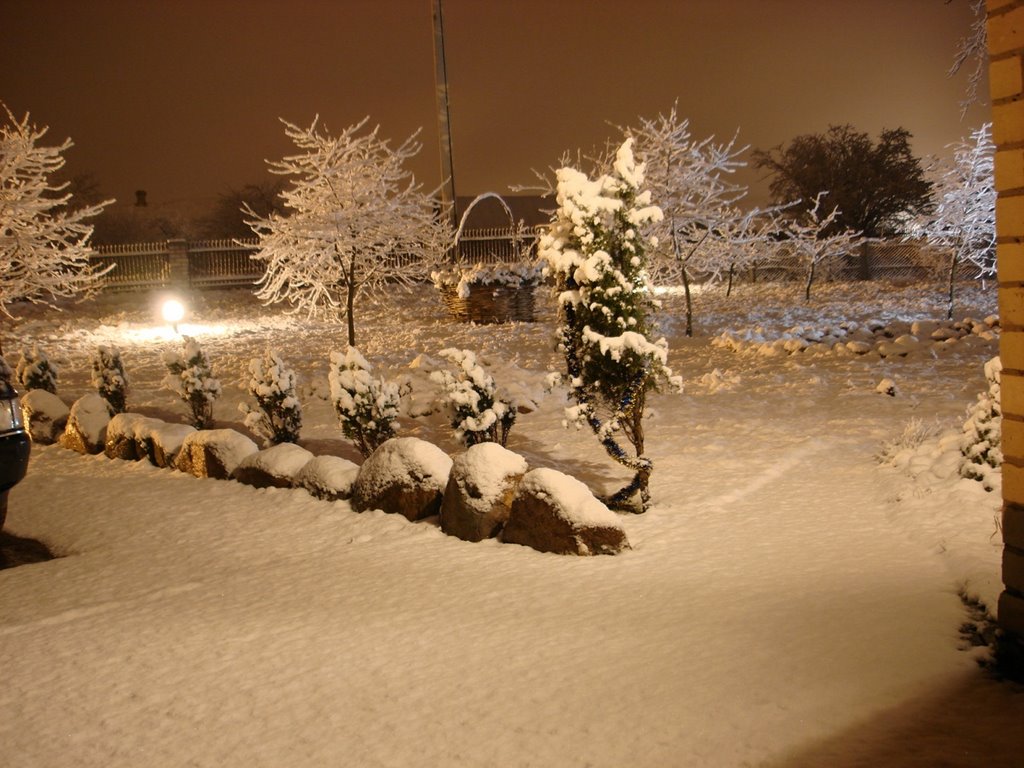 Волшебная зима 27.01.2008