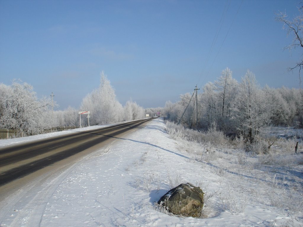 Зимние красоты после 25-ти град. мороза в Домачево 6.01.2009