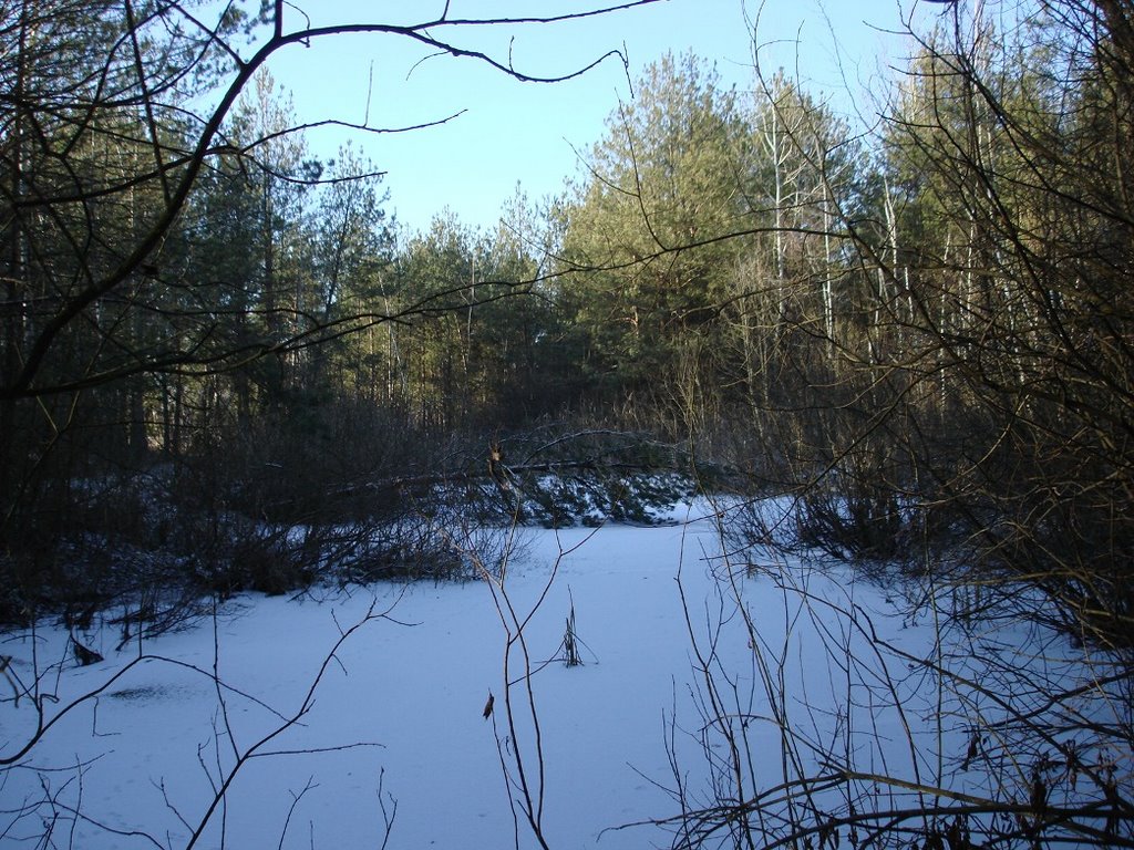 Заболоченные пруды (в народе "Кубани") 30.12.2008г.