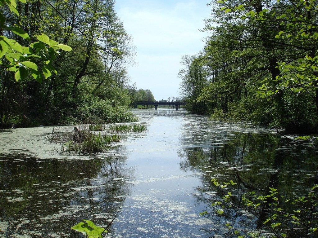 Мост через старое русло р.Зап.Буг. Домачево.Весна 2007г.