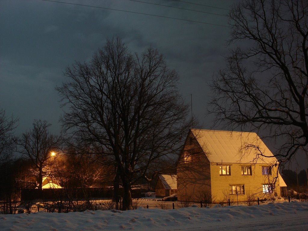 Лунная ночь 1.01.2010
