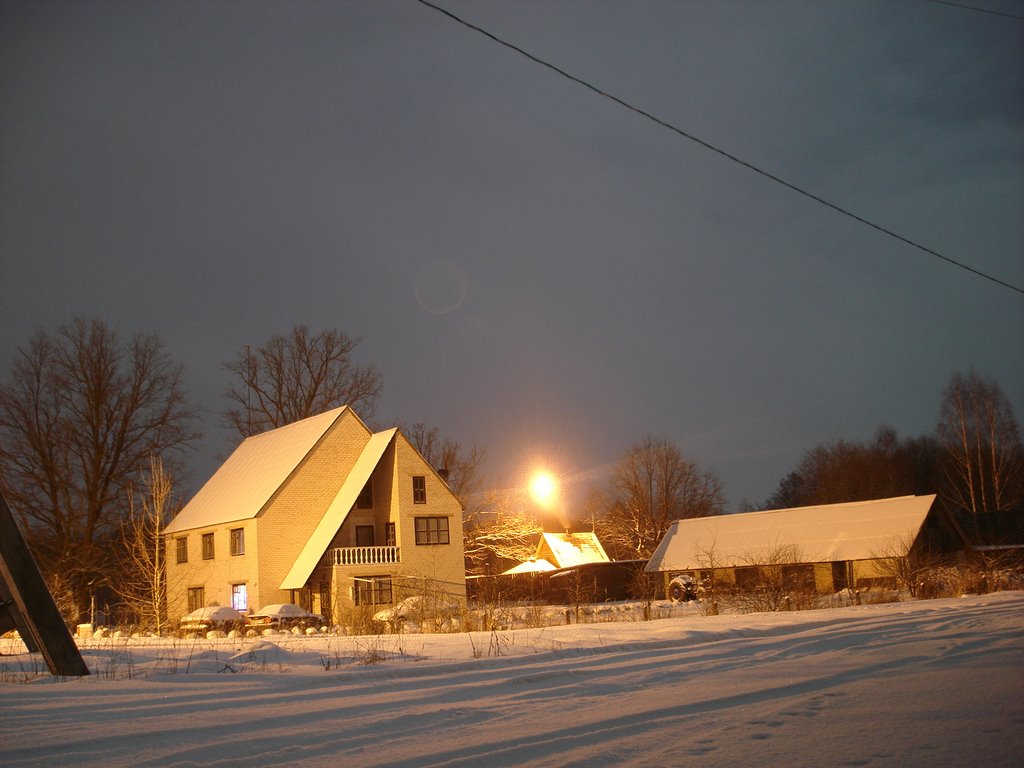 Лунная ночь 1.01.2010