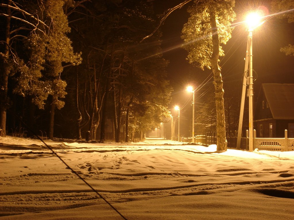 Рождественская ночь в Домачево 7.01.2010