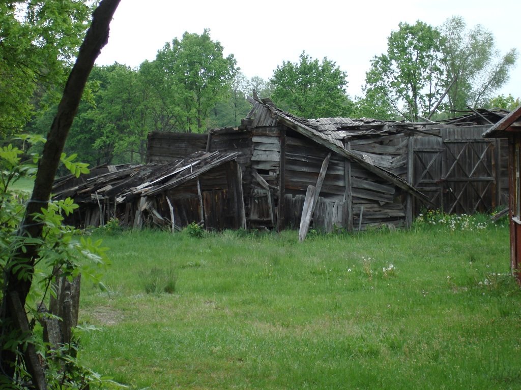 Руины (весна 2007г.)