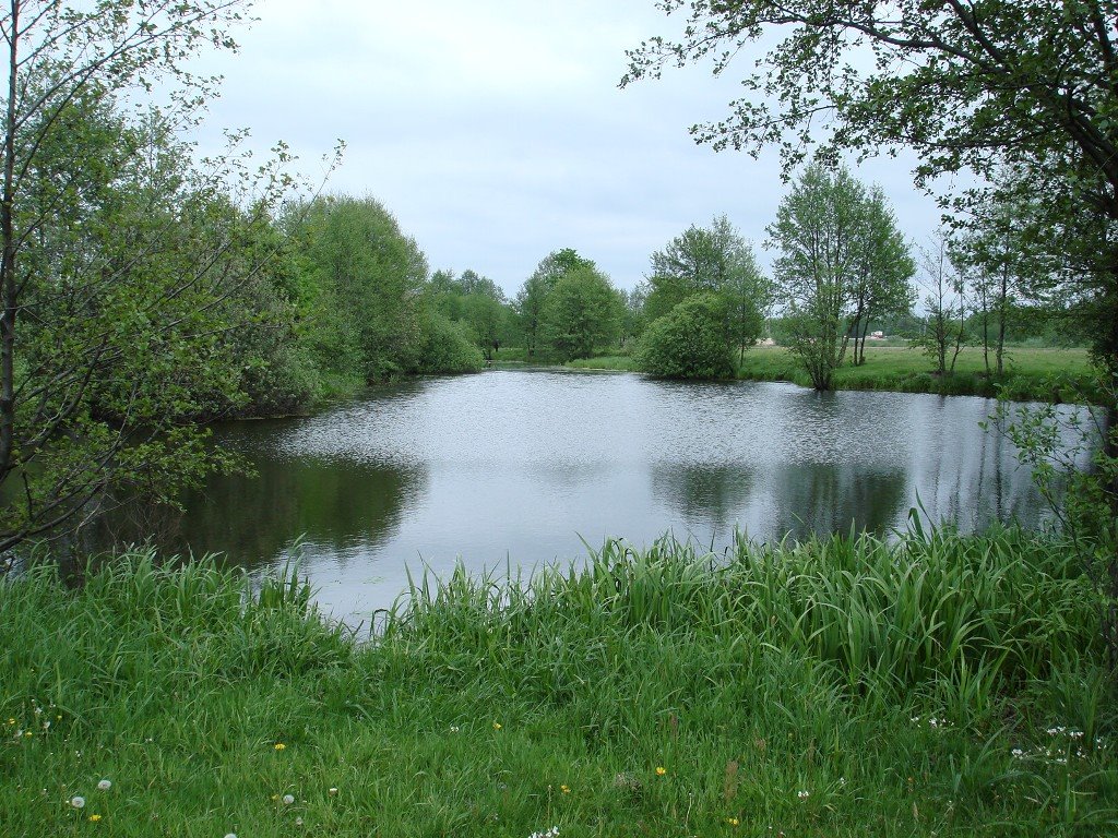 Старое русло р.Зап.Буг. Весна 2007г.