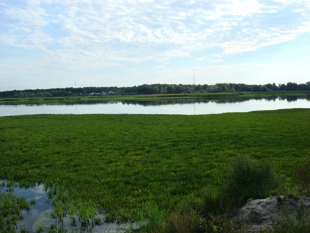 Вид Домачево со стороны рыбхоза. Лето 2007г.