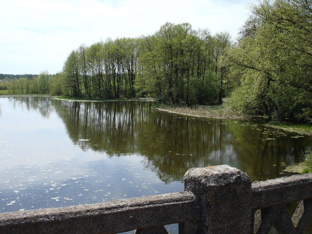 Вид с моста в Домачево. Старое русло р.Зап.Буг. Весна 2007г.