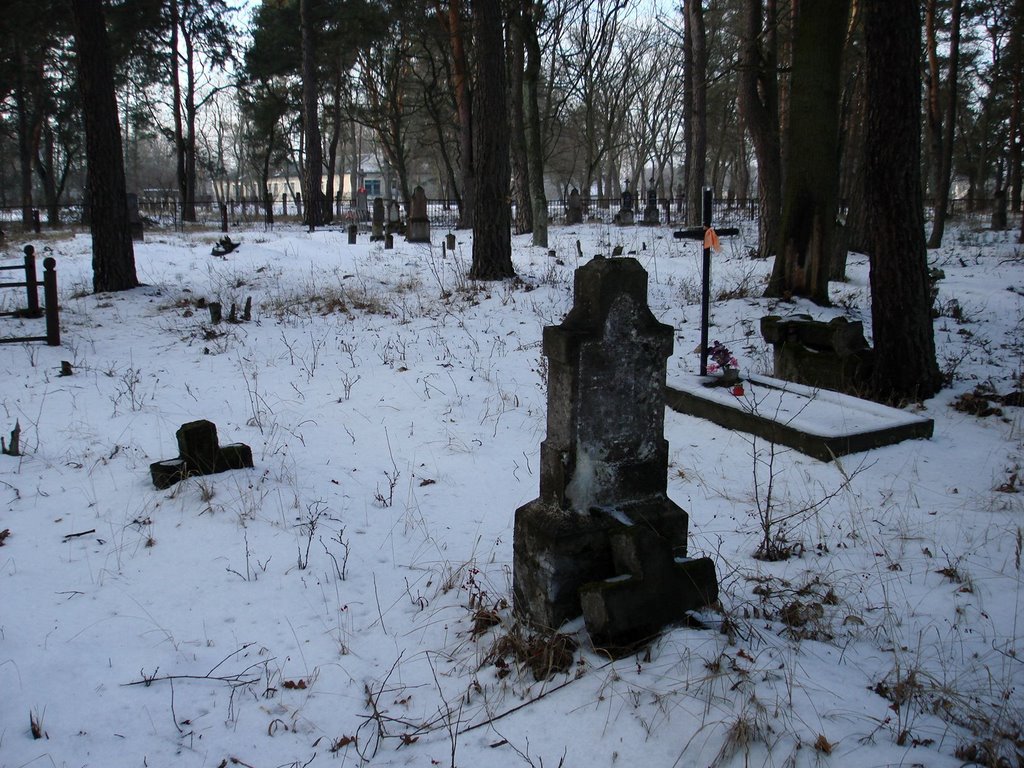 Старое польское кладбище (фото 13 января 2008г.)