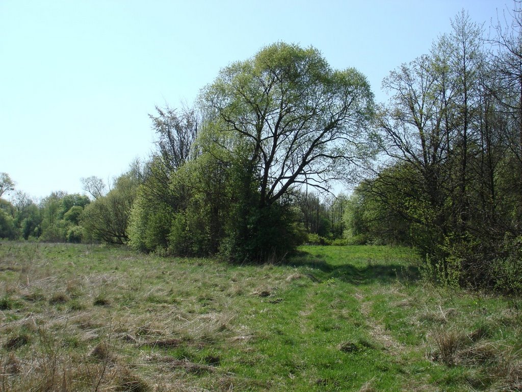 Kol. Neudorf (1928-Moscice Dln.) 26.04.2008