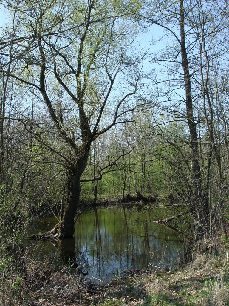 Kol. Neudorf (1928-Moscice Dln.) 26.04.2008