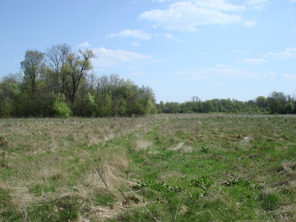 Kol. Neudorf (1928-Moscice Dln.) 26.04.2008