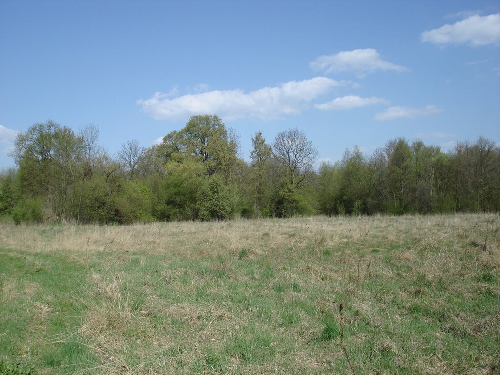 Kol. Neudorf (1928-Moscice Dln.) 26.04.2008