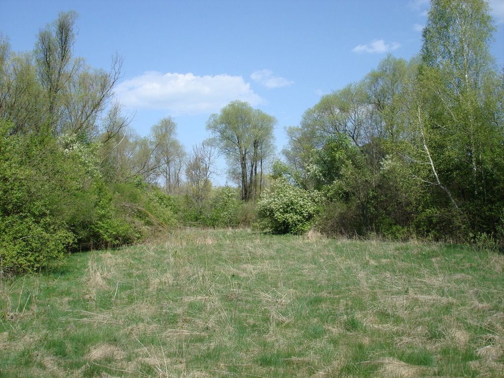 Kol. Neudorf (1928-Moscice Dln.) 26.04.2008