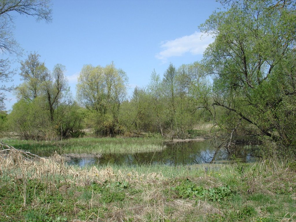 Kol. Neudorf (1928-Moscice Dolne) 26.04.2008