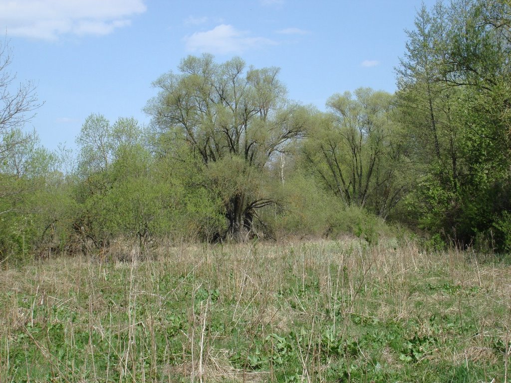 Kol. Neudorf (1928-Moscice Dln.) 26.04.2008