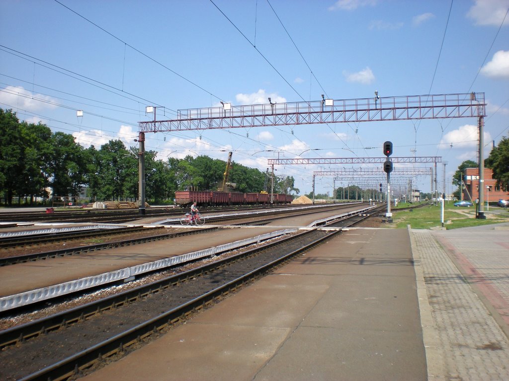 Железная дорога - Railway www.speakrussiannow.com