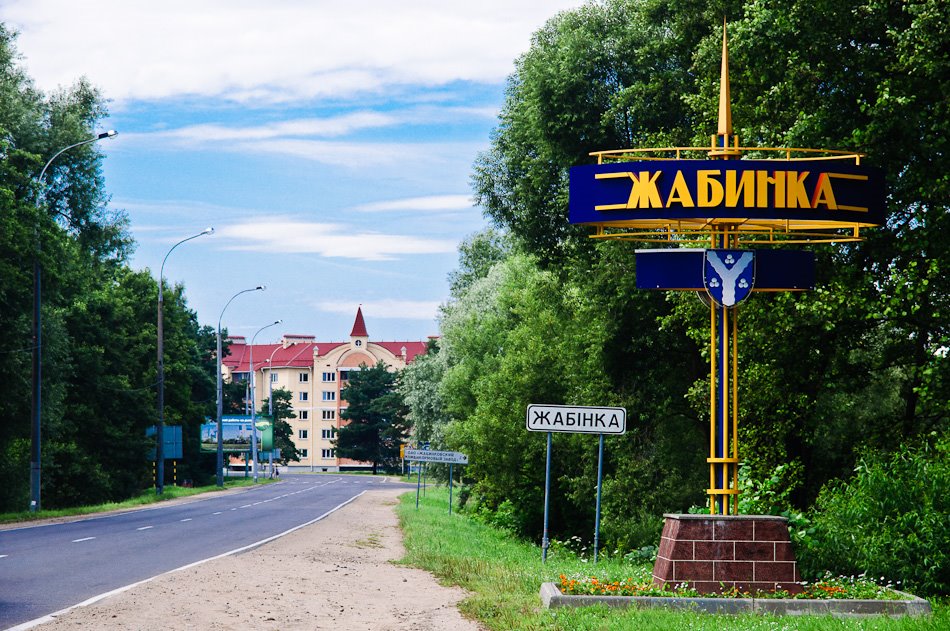 Встречайте, жабинка
