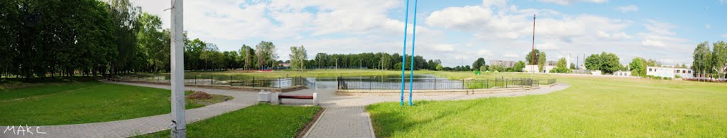 пруд в жабинке